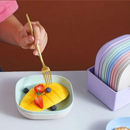 Dining Plates 10pc