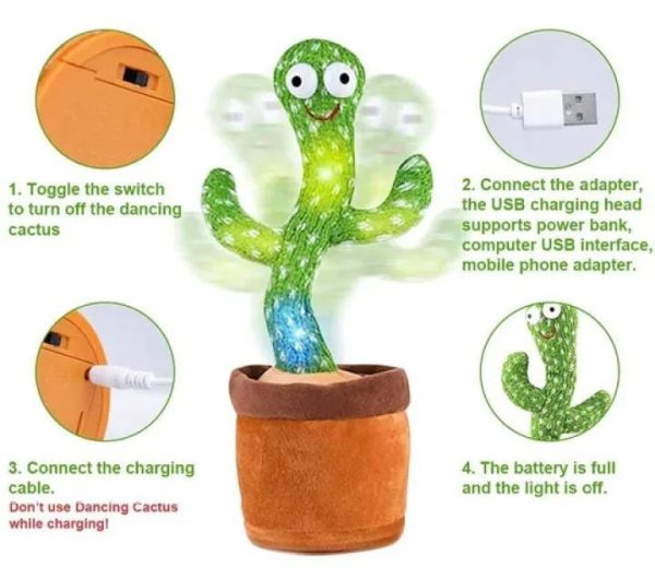 Dancing Cactus