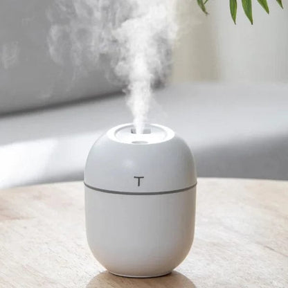 Humidifier With Warm LED Outline